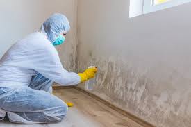 Asbestos and Lead Testing During Mold Inspection in Strawberry Point, IA